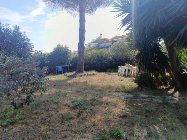 Seminativo in vendita a Cerveteri - Foto 7