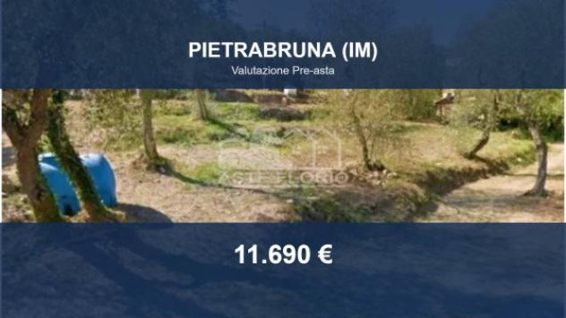Immobile in asta di 2610 m² in vendita a Pietrabruna