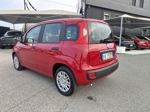 FIAT Pandina Pandina 1.0 firefly hybrid Icon s&s 70cv - Foto 5