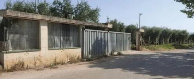 Immobile in asta di 457 m² in vendita a San Severo - Foto 10