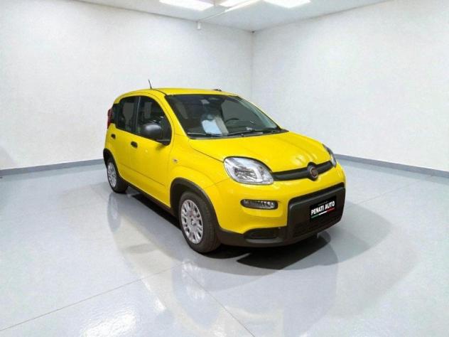 FIAT Pandina Pandina 1.0 firefly hybrid Pop 65cv - Foto 6