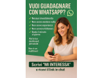 Agente whatsapp