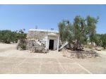 VENDITA TRULLO CON TERRENO C.DA PERITO FRANCAVILLA F.