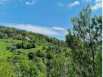 Casale in vendita a Orvieto