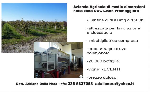VIGNETO DI PROSECCO DOC - Foto 3