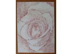 Quadretto La Rosa