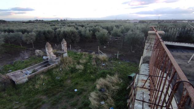 Terreno Agricolo - San Severo . Rif.: Cod. rif 3294216VCG - Foto 6