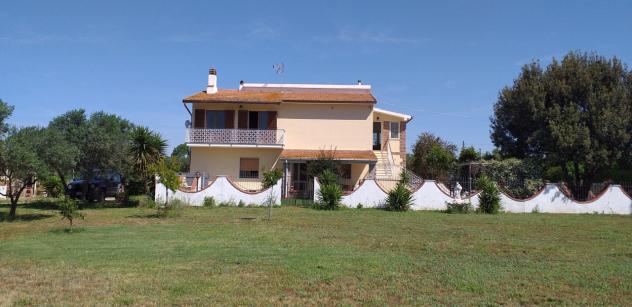 VILLA di 10 vani e di 350 mq (ORBETELLO) rif. T 100 - Foto 2