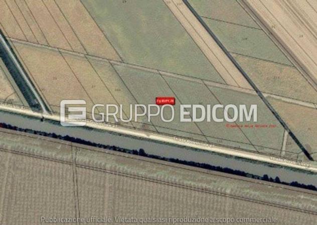 Terreno di 22003 mq in vendita a Legnago - Rif. 4552173 - Foto 2