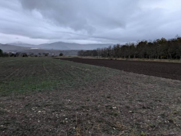 Immobile in asta di 9520 m² in vendita a Ofena - Foto 6