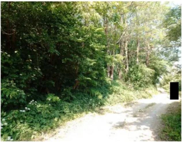 Immobile in asta di 91609 m² in vendita a Pianello Val Tidone - Foto 4