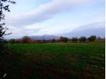 TERRENO AGRICOLO di 100000 mq (SORANO) rif. TERRENO SORANO TERME