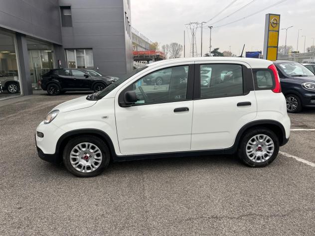 FIAT Panda Panda 1.0 FireFly S&S Hybrid - Foto 4