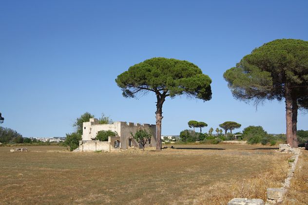 Masseria storica del 1800 - Foto 4