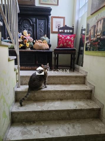 CASA INDIPENDENTE di 3 vani e di 450 mq (CONEGLIANO) rif. MM4143 - Foto 5