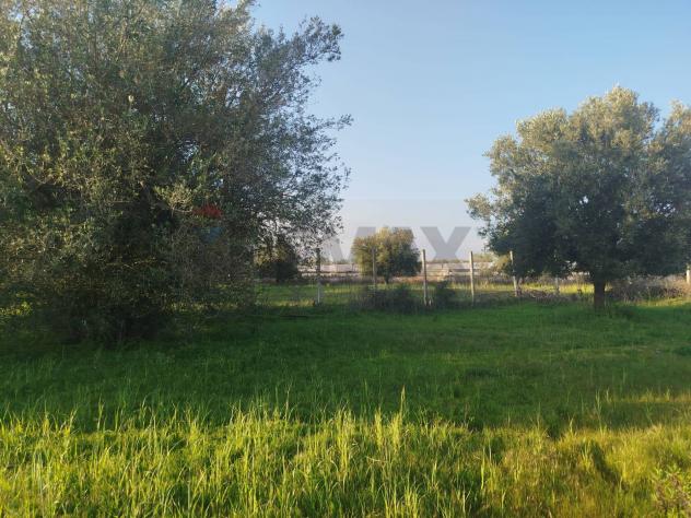 Villa singola in vendita a Noto - Foto 8