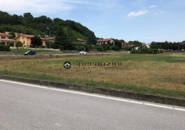 Lotti edificabili in zona residenziale di espansione, comune di colli al metauro
se sogni di costruire la tua casa ideale in un ambiente sereno e circ - Foto 7