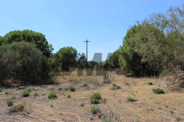 Terreno in vendita a Nicolosi - Foto 13