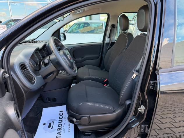 FIAT Panda 3ª serie Panda 1.0 FireFly S&S Hybrid - Foto 8