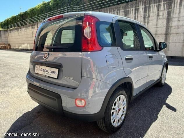 Fiat Panda 1.0 Hybrid - Foto 6