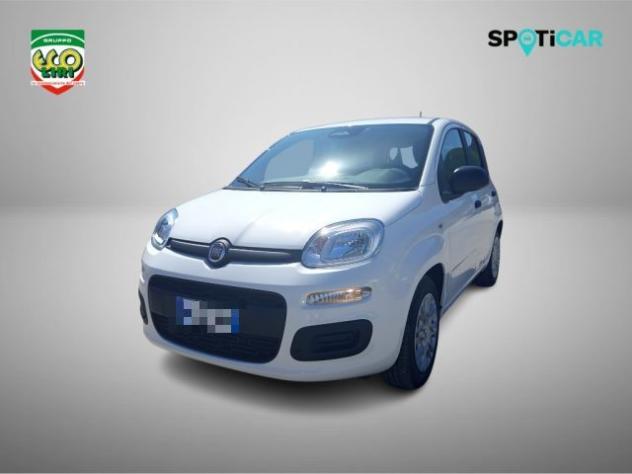 FIAT Pandina 1.0 65 CV Hybrid Icon+GPL rif. 24175574