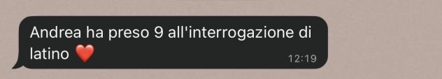 Ripetizioni di Latino e Greco - Foto 3