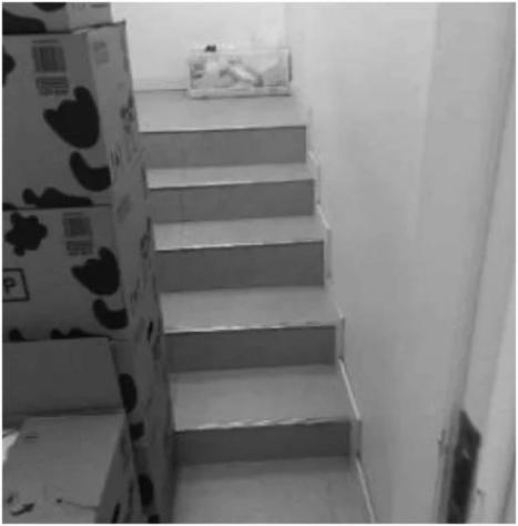 Immobile in asta di 340 m² in vendita a Cesenatico - Foto 11