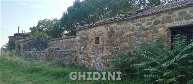 CASALE di 20 vani e di 750 mq (CINIGIANO - S. RITA) rif. 2432.102P - Foto 6
