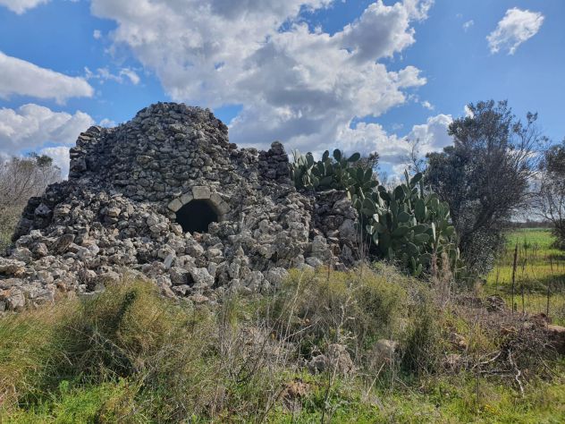 casale con 5 ettari di terreno - Foto 9