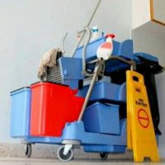 Multiservice Impresa di Pulizie - Giardinaggio - Traslochi - Imbianchini - Foto 3