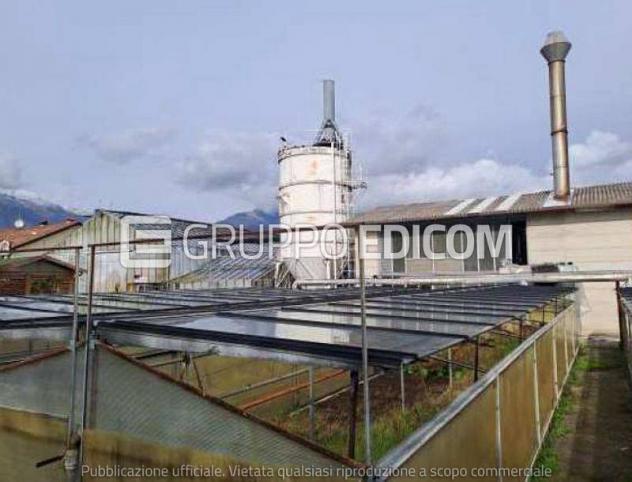 Fabbricati per attività agricole di 27005 mq in vendita a Vittorio Veneto - Rif. 4553904 - Foto 3