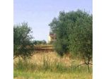 Tenuta Montedoro