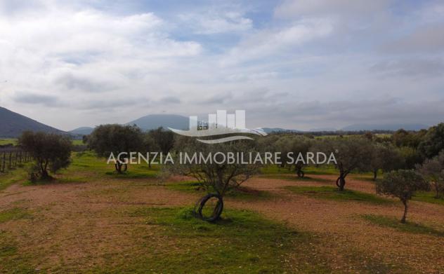Terreno edificabile in vendita a Alghero - Foto 4