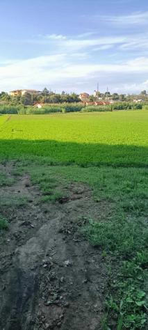 Agricolo in Via Nazareno Strampelli - Foto 4