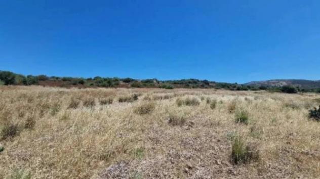 Immobile in asta di 74255 m² in vendita a Carbonia - Foto 6