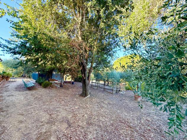TERRENO AGRICOLO di 3 vani e di 142179 mq (GROSSETO - Istia d'Ombrone) rif. TE.41 - Foto 15