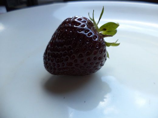 Fragola nera - Foto 2