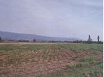 Terreno Residenziale - Schiavon . Rif.: Cod. rif 3315076VRG