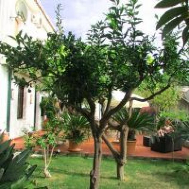 Hotel Garden di Mazza A. e Pugliesae F. & C. S.a.s. - Foto 4