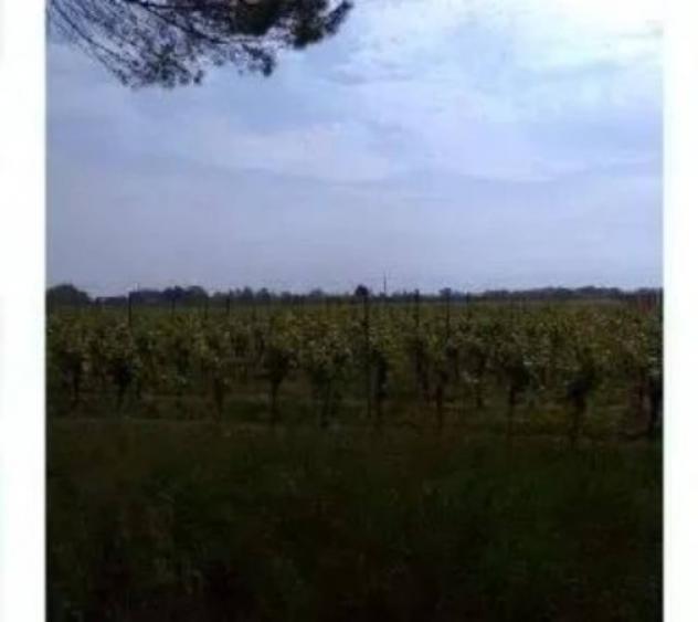 Immobile in asta di 50060 m² in vendita a Caneva - Foto 5
