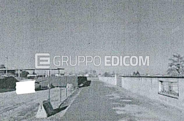 Terreno in vendita a San Cipriano Po - Rif. 4554990 - Foto 5