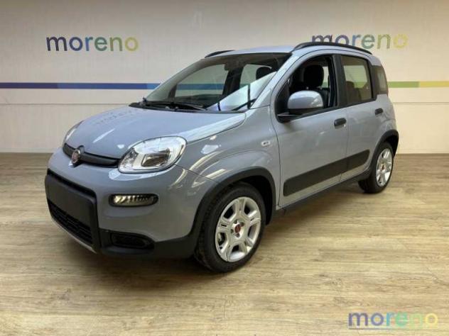 FIAT Panda 1.0 firefly 70 CV hybrid City Life s&s rif. 19169019