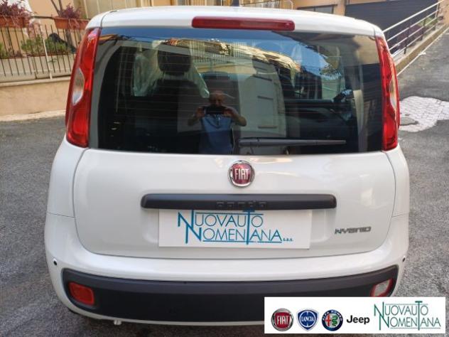 FIAT Panda 1.0 FireFly S&S Hybrid Pop Km0 PRONTA CONSEGNA rif. 23972182 - Foto 10