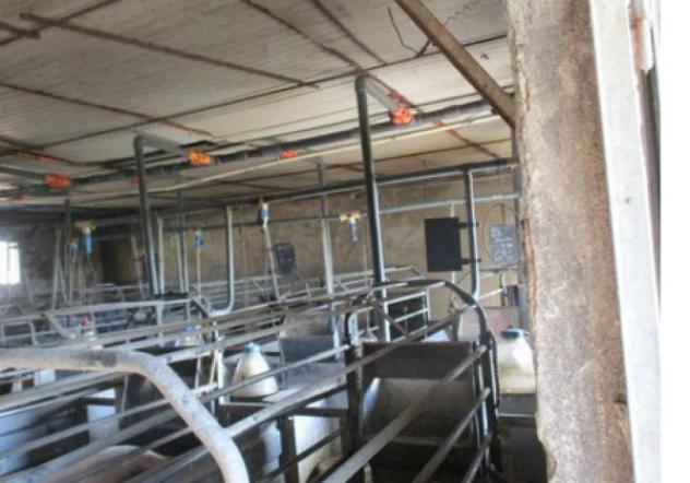 Immobile in asta di 7899 m² in vendita a Pieve del Cairo - Foto 6