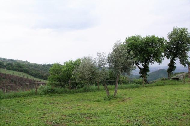 Orvieto (Loc. Morrano) - Vendesi proprietà da ristrutturare con terreno edificabile e ulteriori 2,5 ha di terreno - Foto 2