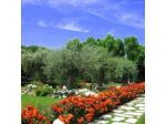 Anusca Palace Hotel S.r.l.