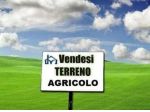 Terreno agricolo in vendita a Colignola - San Giuliano Terme 2337 mq  Rif:  &hellip;