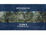 Immobile in asta di 6065 m² in vendita a Stornara