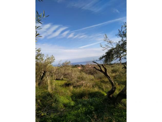 Agricolo in Contrada Rovetto - Foto 6