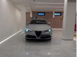 Alfa Romeo Stelvio Stelvio 2.2 Turbodiesel 190 CV AT8 Q4 Super Business